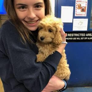 Meet your Posher, Catherine